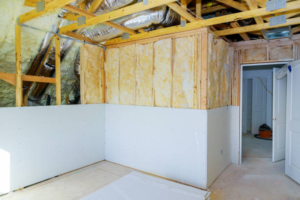 Best Commercial Insulation in Mesita, NM
